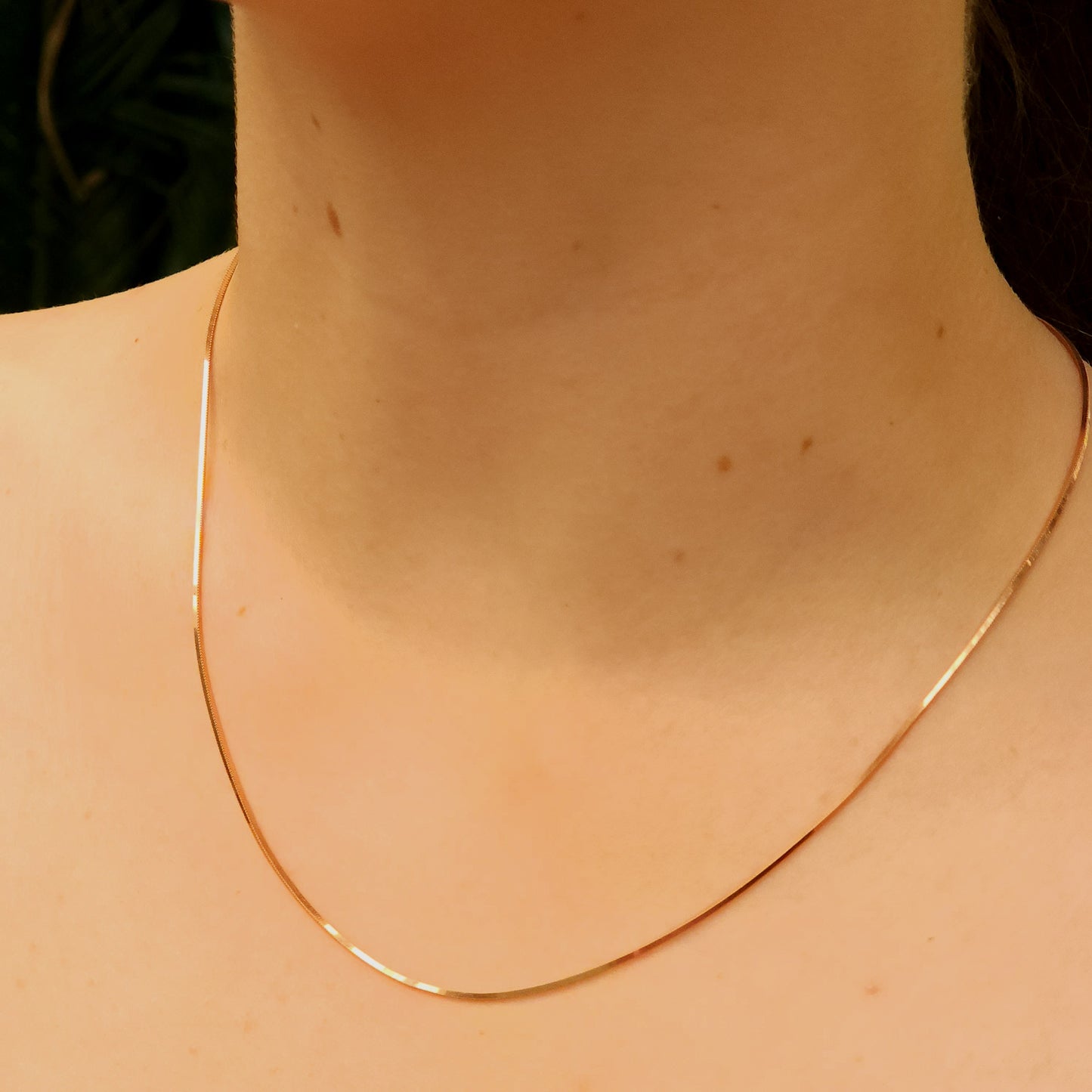 Rose Gold Plated Silver Snake Chain