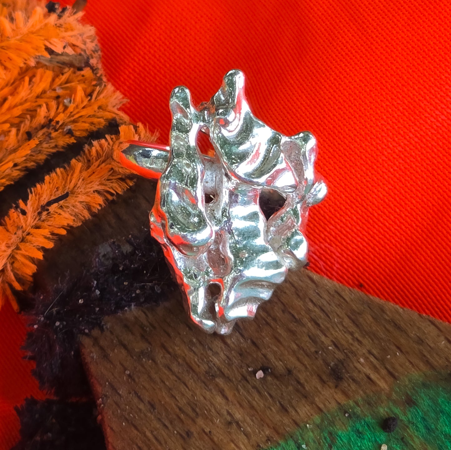 20251101_075719.jpg - Image 1